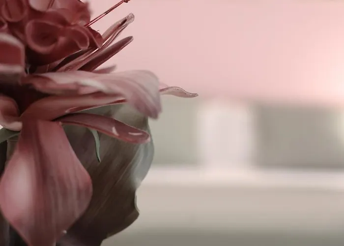 Cgarden Alojamento de Acomodação e Pequeno-almoço Reggio di Calabria